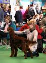 Crufts2010 1056